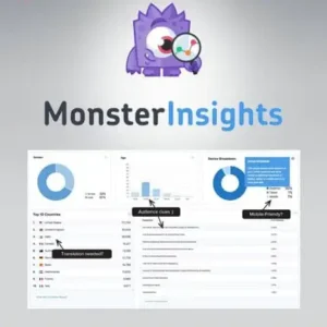 MonsterInsights Pro