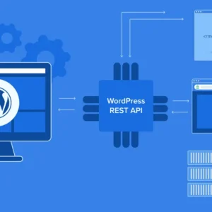 WP API (Official REST API)
