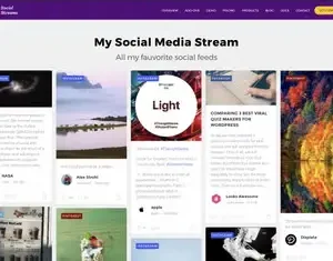 Flow-Flow Social Stream